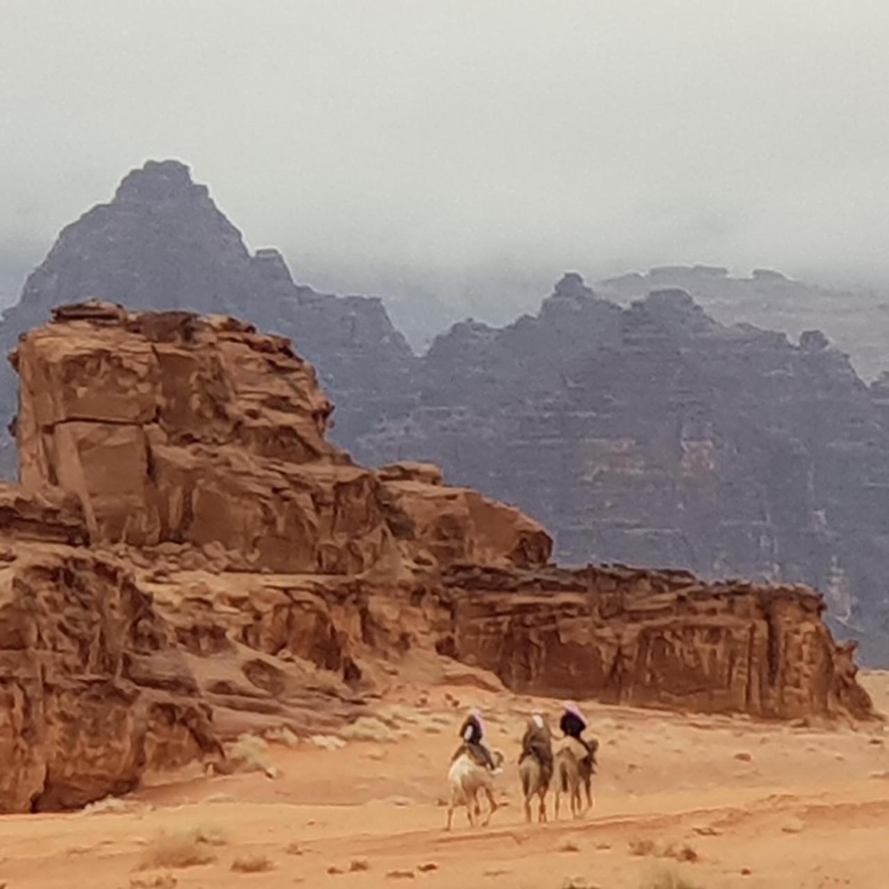 Hotel Real Bedouin Experience Tours & Camp Wadi Rum Exteriér fotografie